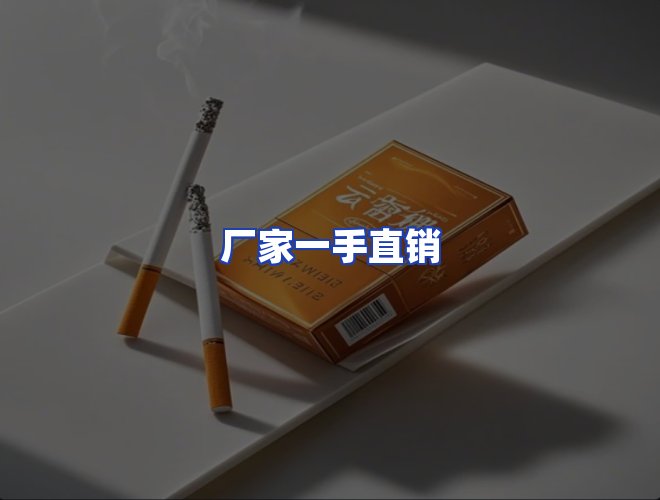 专业团队